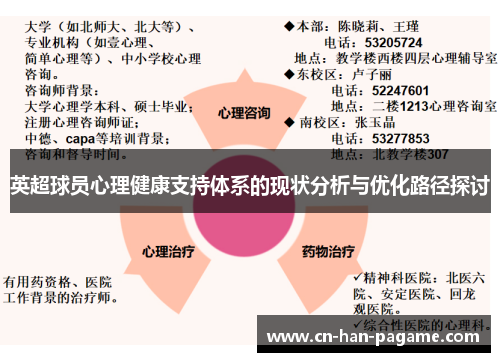 英超球员心理健康支持体系的现状分析与优化路径探讨