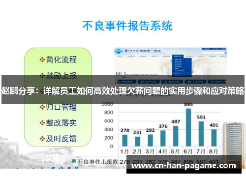 赵鹏分享：详解员工如何高效处理欠薪问题的实用步骤和应对策略
